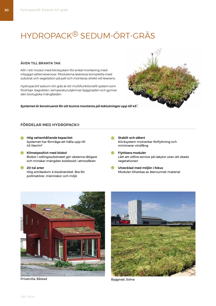 ​En skön grön nyhet! Växtsystem 🌿 odlad med BIOKOL, nu även för branta taklutningar.