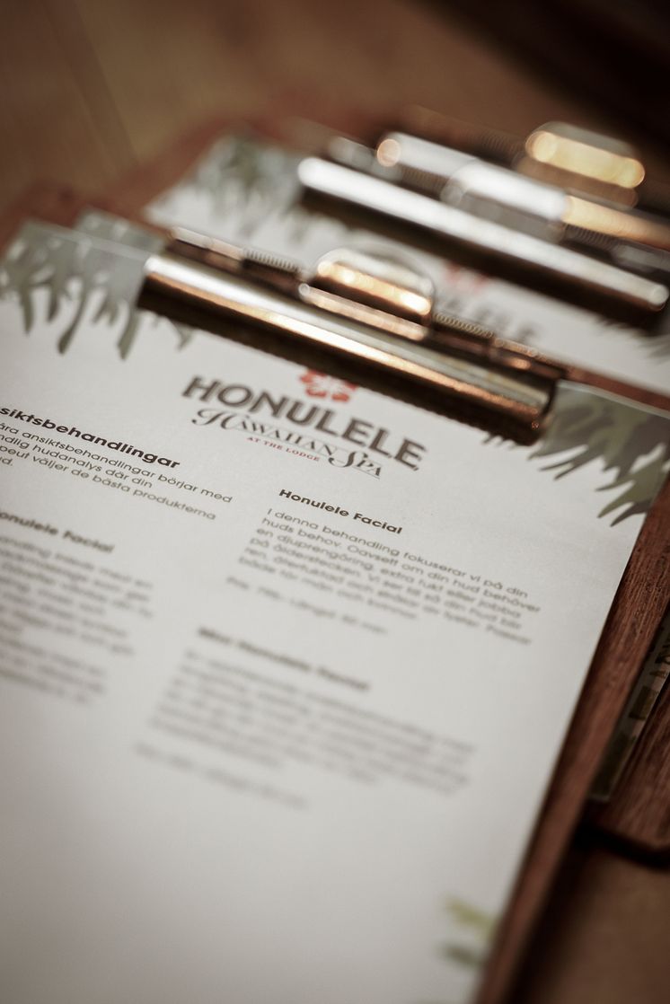 HonueleSpaMenyWeb