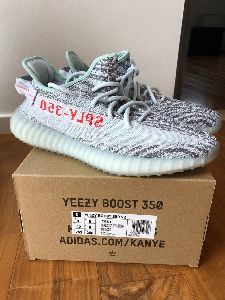 Adidas Yeezy 350 V2 Blue Tint.jpg