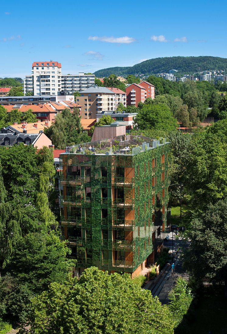 D36 -  Green House, Element Arkitekter AS_