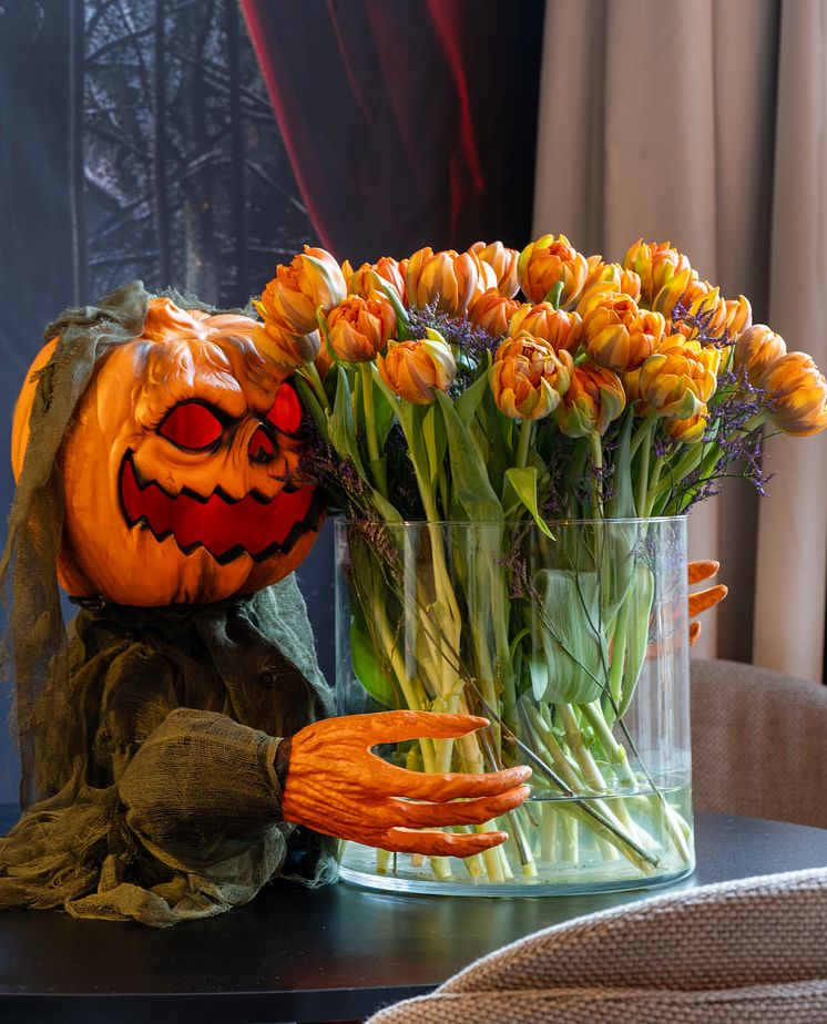 Tulpaner i vas till Halloween