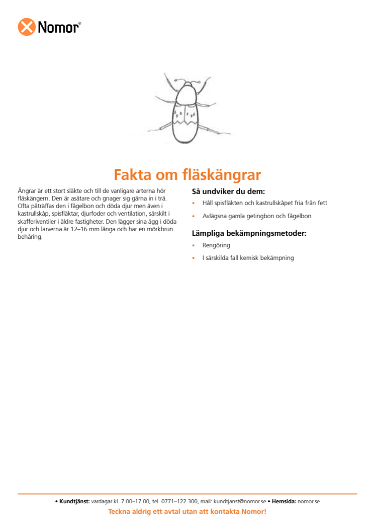 Fakta om fläskängrar