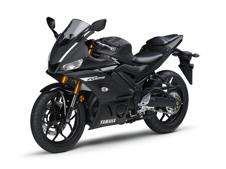2019030501_027xa_YZF-R25_ABS_マットブラック2_4_4000