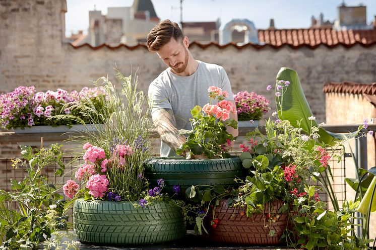 Pelargoner kreativa återbruksidéer 