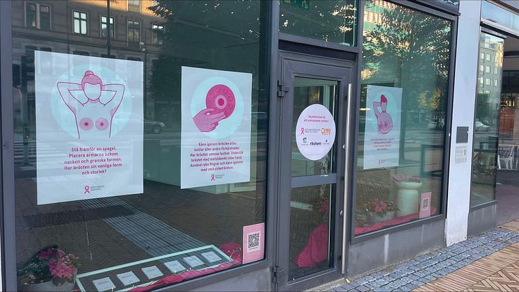 Skyltfönster Drottninggatan 20 Rosa Oktober Helsingborg.jpeg