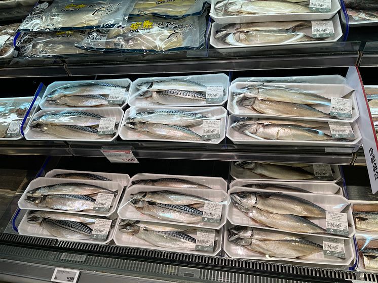 Mackerel_Photo_Norwegian Seafood Council.jpg