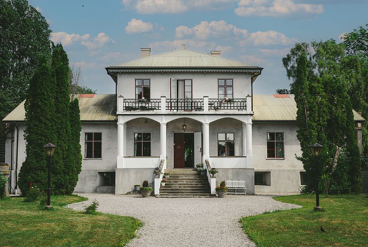 gåsen.jpg