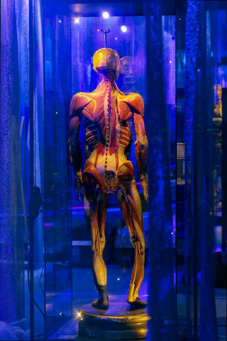 Muskelmannekäng från 1800-talet i Hyper Human