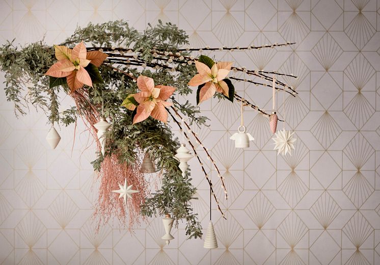 Julblommor_2024_klassiska_elegans