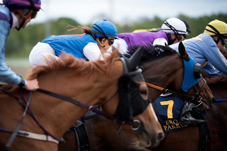 Bro Park 1 - Elina Björklund Svensk Galopp