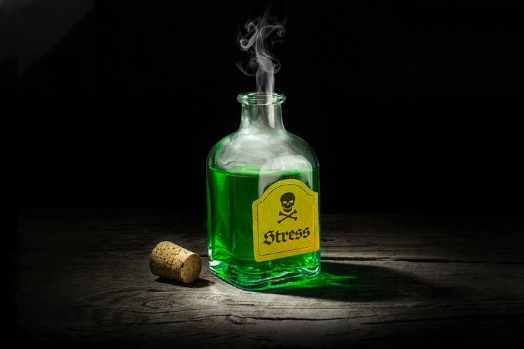 hager-magasin-tidscoachen-1920x1280px