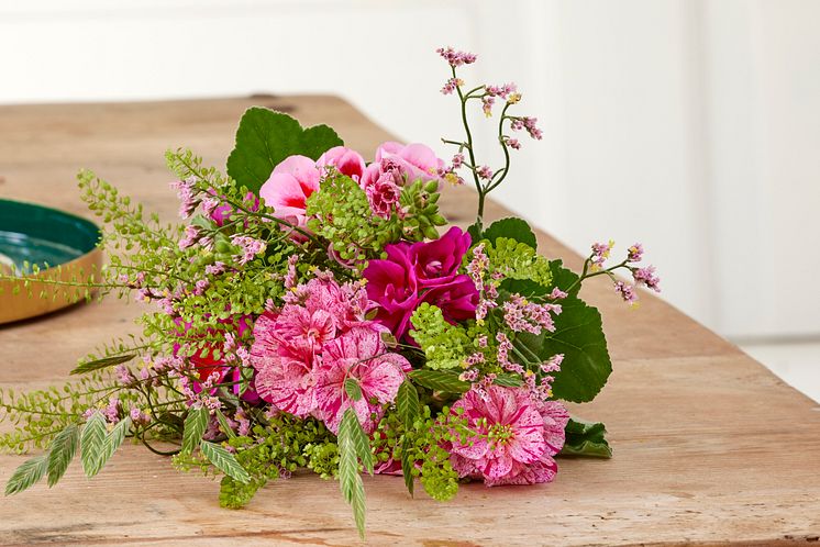 Pelargoner40_2024
