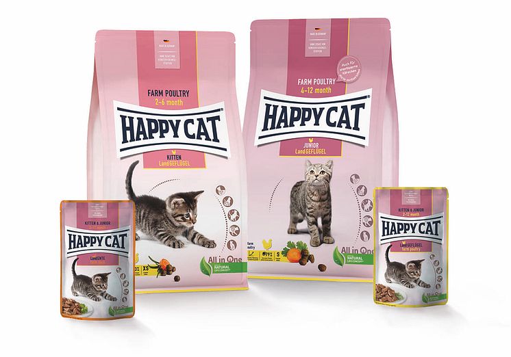 Happy Cat Young_Kitten_©Happy Cat