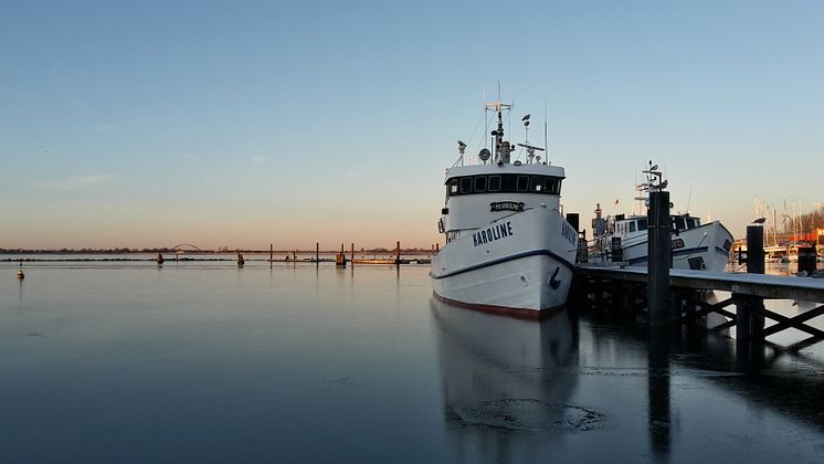 Burgstaaken im Winter