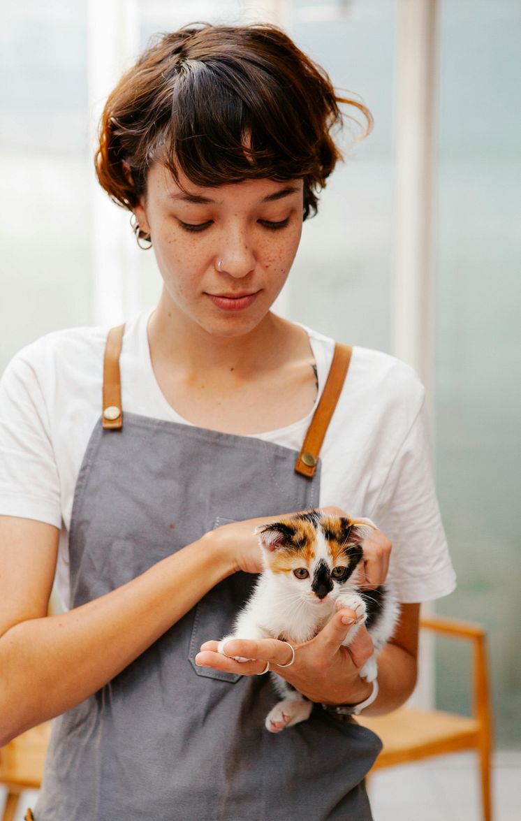 happy-cat-feed-a-cat