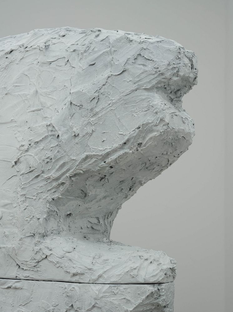 Anna Andersson, Two blocks joined by a corridor, 2015-2023