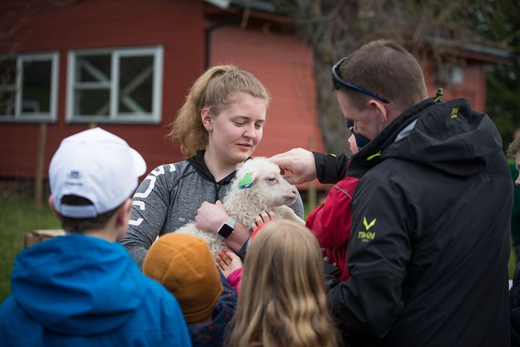 Foto Lars Olav Stavnes