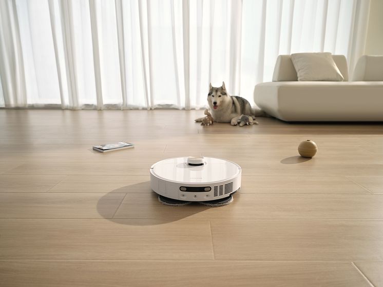 Pet-Friendly-Home-宠物本体避让.jpg