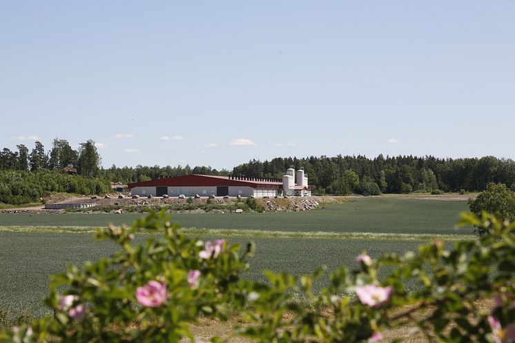 kycklingstall och åker