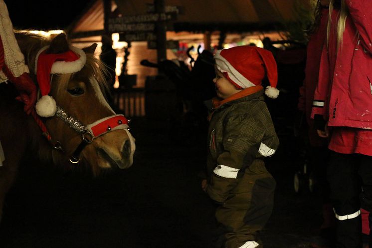 Jul i Djurparken