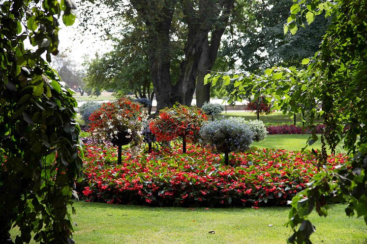 genre-slottsparken-sommar