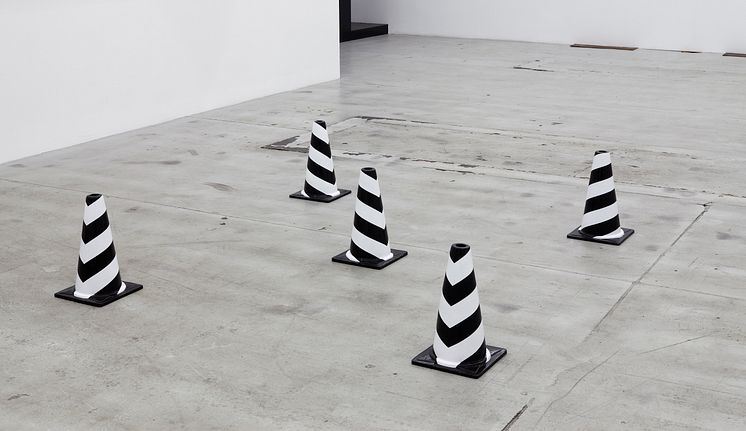 Gardar Eide Einarsson, But, What Ends When The Symbols Shatters, 2009