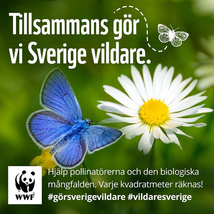 WWF gör Sverige vildare bild 2.jpg