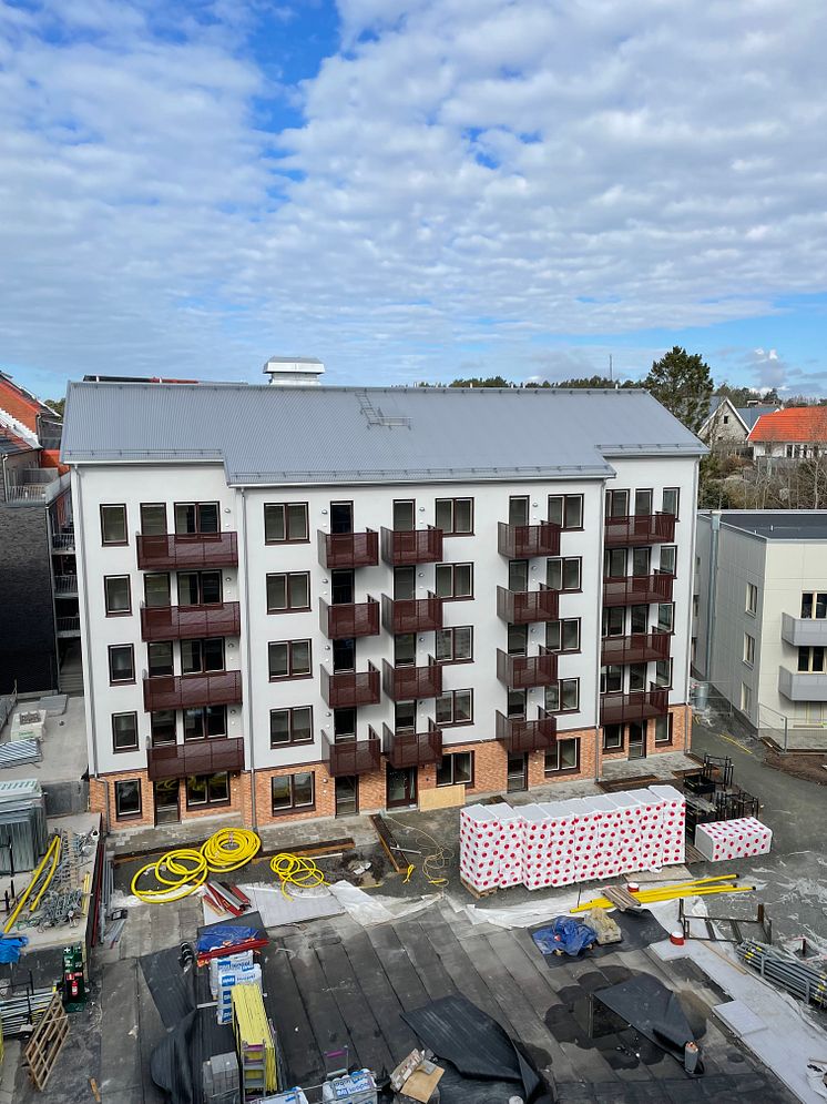 Hovås 3