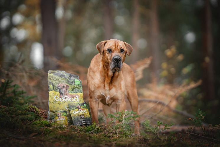 Goood_Adult_Freilandhuhn_Goood Dog Tyson__©Goood Petfood