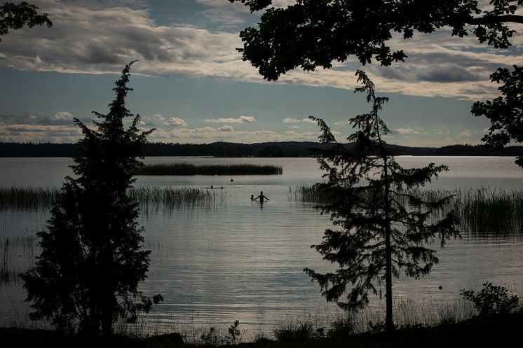 Kvällsdopp i Åsnen