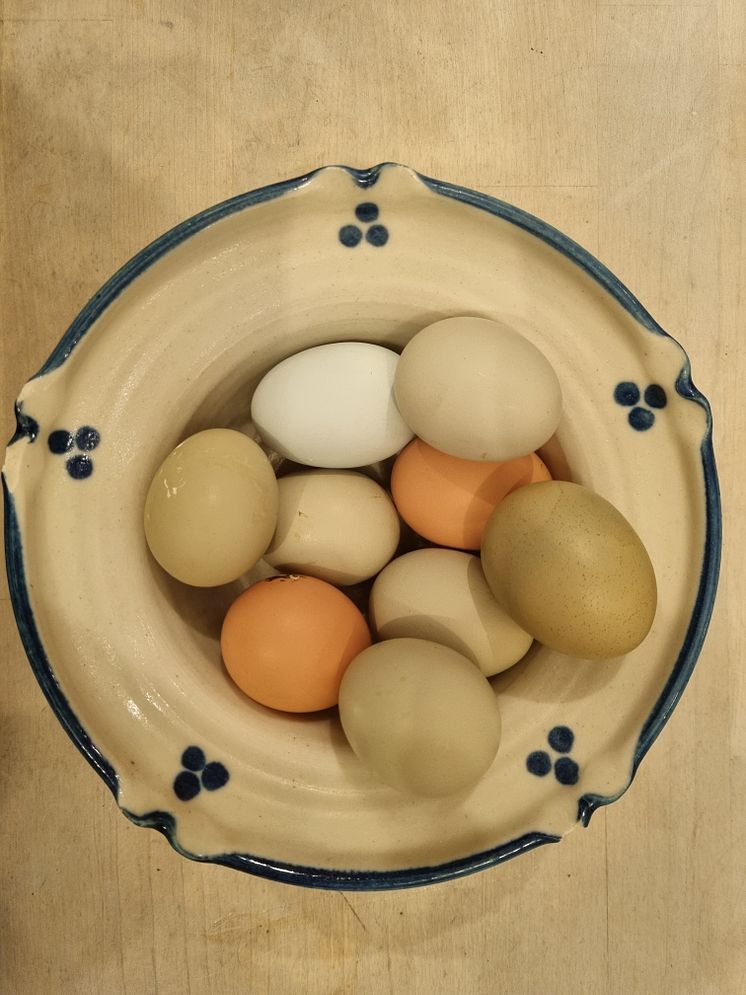 ägg
