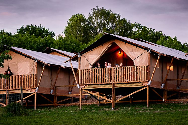 Wild Lodge