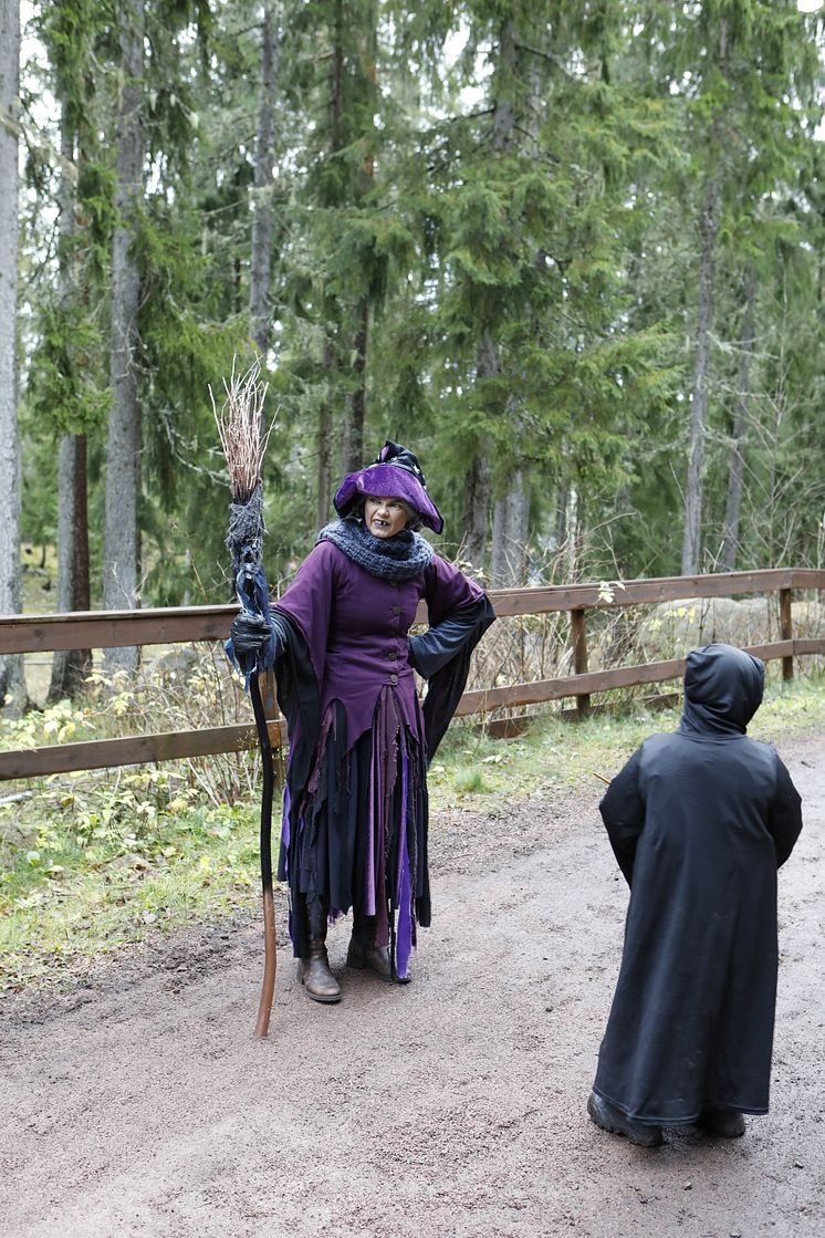 Möte mellan häxa och spöke i Förtrollade skogen
