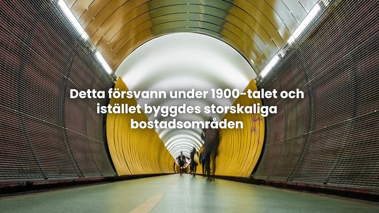 Digitala_BoTryggt.mp4