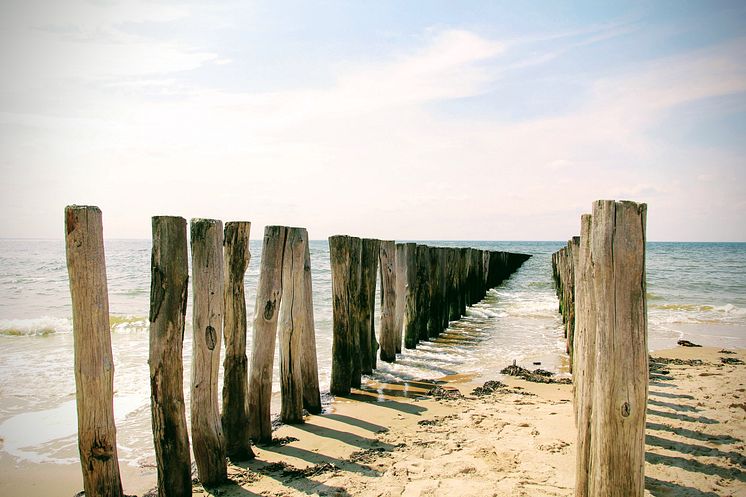zeeland2-dyaa-eldin-moustafa-unsplash