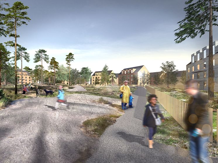 Illustraion planprogram Lilljansberget. Naturmark inom bostadskvarter på Lilljansberget. 