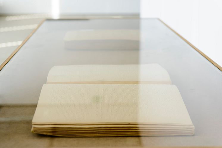 Sharon Lockhart, Vitrin med blinskriftsutgåvan av Janusz Korczak Hur man älskar ett barn (1919)/Vitrine with the Braille edition of Janusz Korczak "How To Love a Child" (1919)