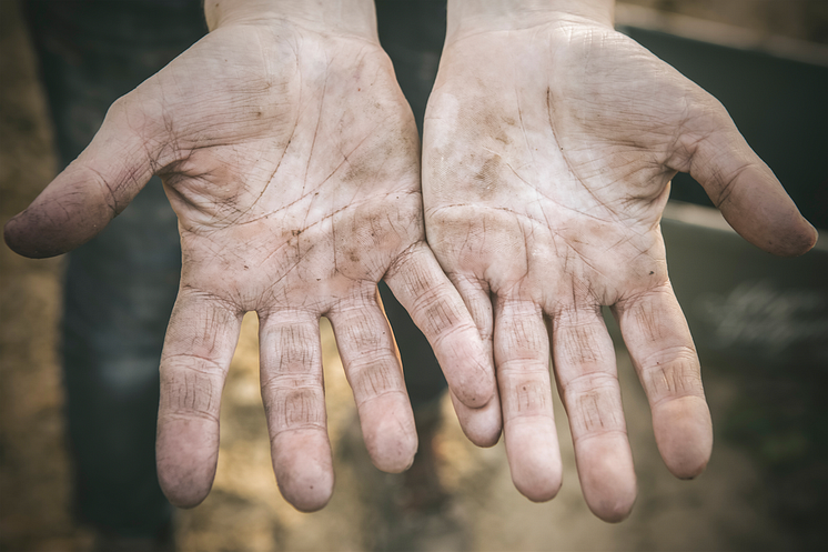 Eva's hands