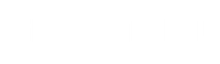 BitmapBureauLogoWhite.png