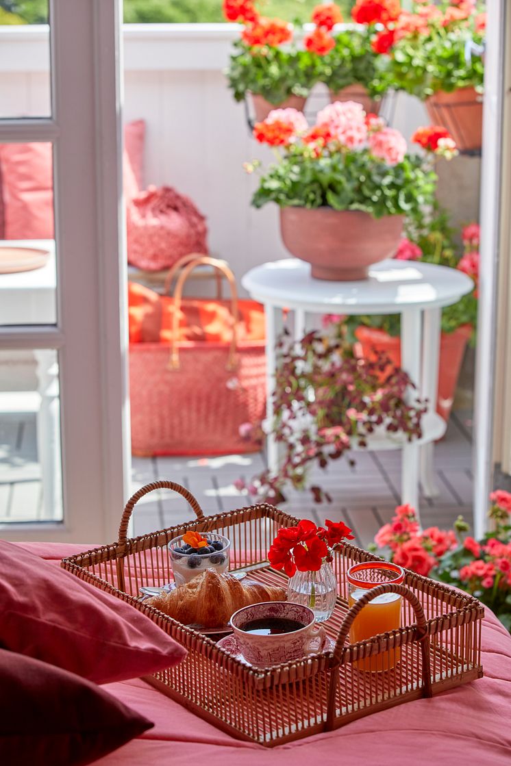 2022_Pelargon_Frukost_Morgon_Balkong_02