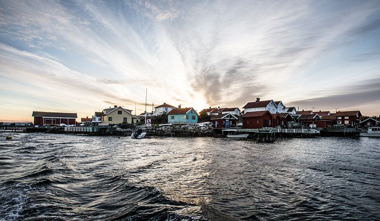 GnarlyCramby Bohuslän