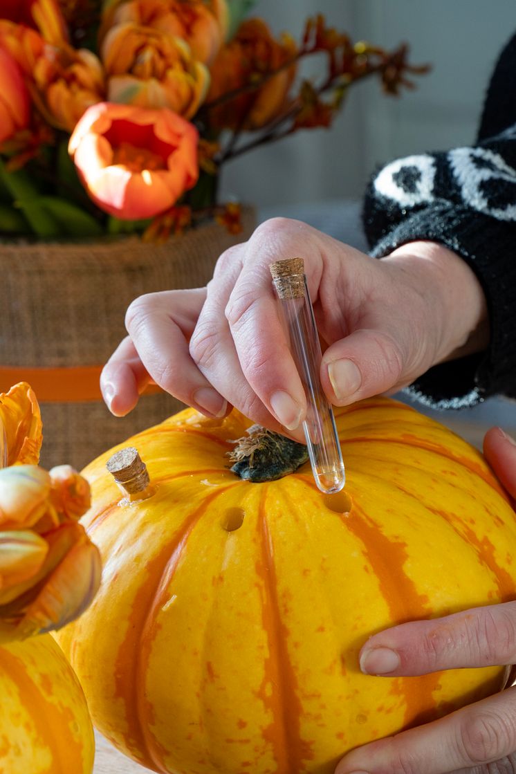 Halloweenfest med tulpaner och pumpor i dukning. DIY tips.