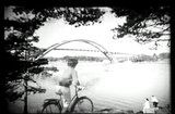 Ingo 1961