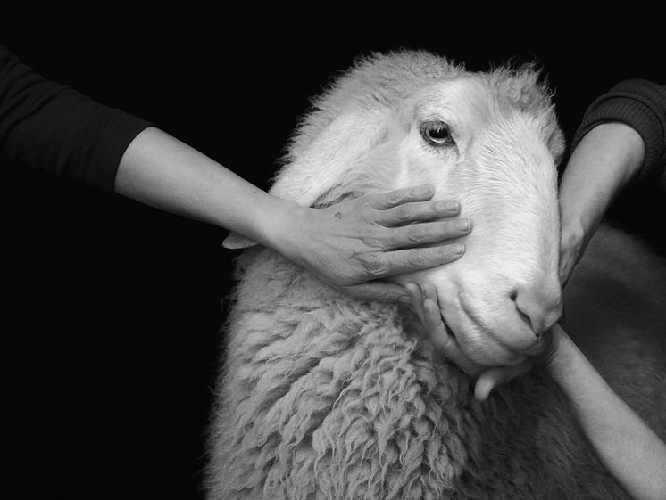 Photo Joanna Piotrowska