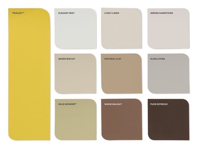Flexa-Kleurentrends-2025-Kleur-van-het-Jaar-2025-True-Joy-Ambacht-kleurpalet-namen.jpg
