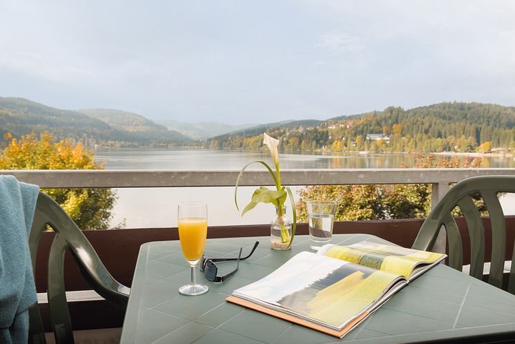 Maritim TitiseeHotel