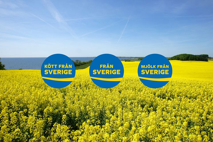 Från_Sverige_rapsfalt_märken_högupplöst