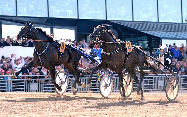 Brioni vinner Elitloppet 2011