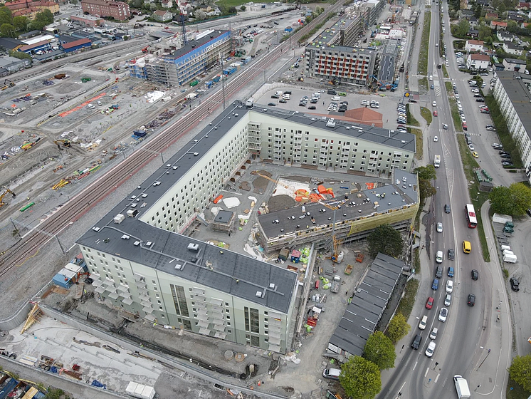 290526, 1, Ferdinand