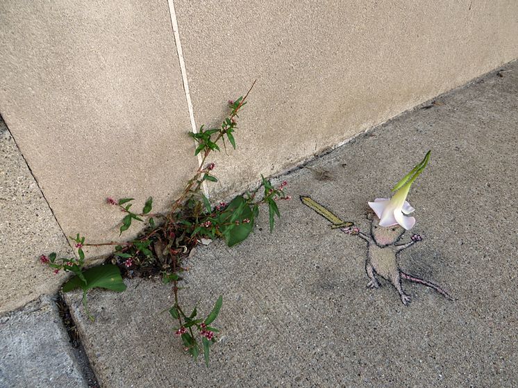 David Zinn - No Limit Borås